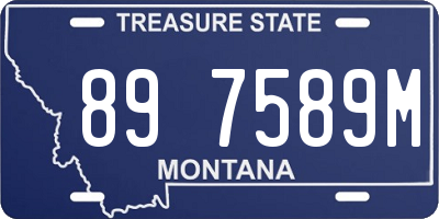 MT license plate 897589M
