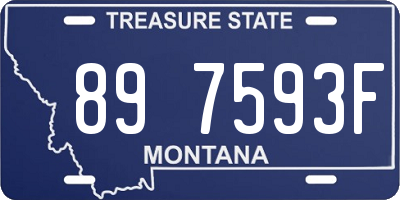 MT license plate 897593F