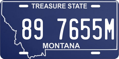 MT license plate 897655M