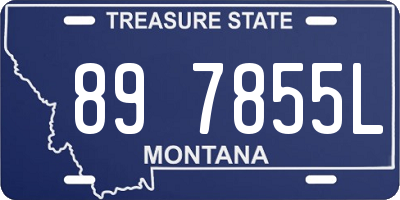 MT license plate 897855L
