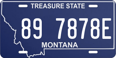MT license plate 897878E