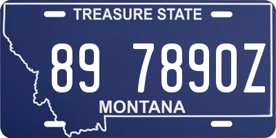 MT license plate 897890Z
