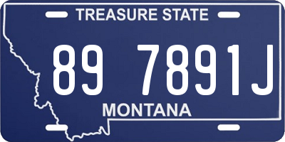 MT license plate 897891J