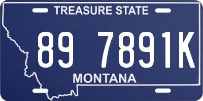MT license plate 897891K
