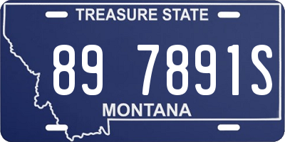 MT license plate 897891S