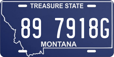 MT license plate 897918G