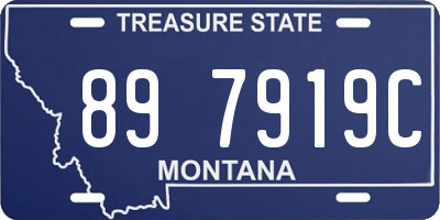 MT license plate 897919C