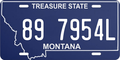 MT license plate 897954L