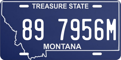 MT license plate 897956M