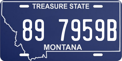 MT license plate 897959B