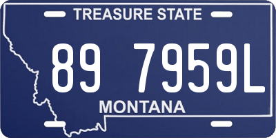 MT license plate 897959L