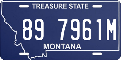 MT license plate 897961M