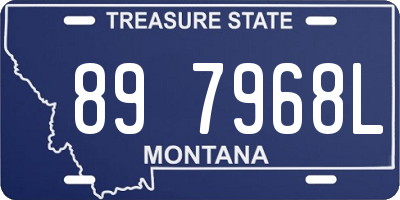 MT license plate 897968L