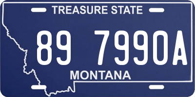MT license plate 897990A