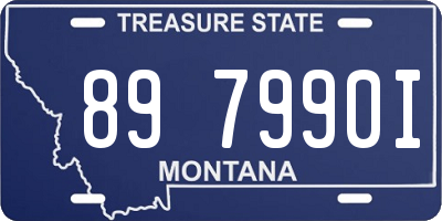 MT license plate 897990I