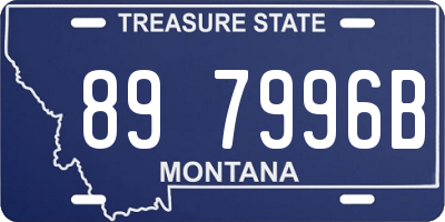 MT license plate 897996B