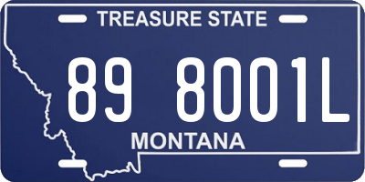 MT license plate 898001L