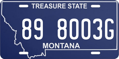 MT license plate 898003G