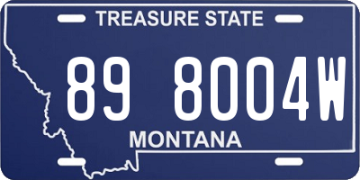 MT license plate 898004W