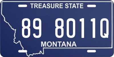 MT license plate 898011Q