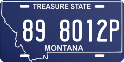 MT license plate 898012P