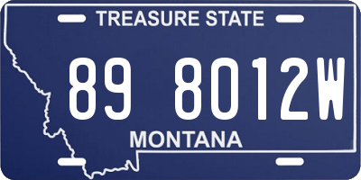 MT license plate 898012W