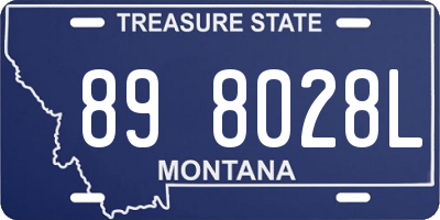 MT license plate 898028L