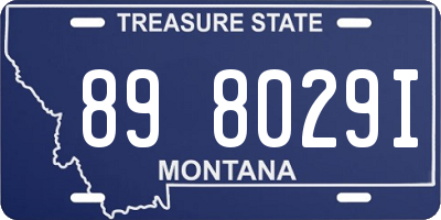 MT license plate 898029I