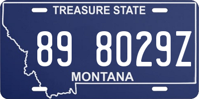 MT license plate 898029Z