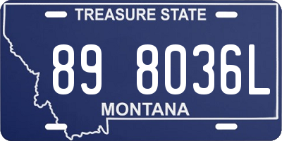 MT license plate 898036L