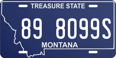 MT license plate 898099S