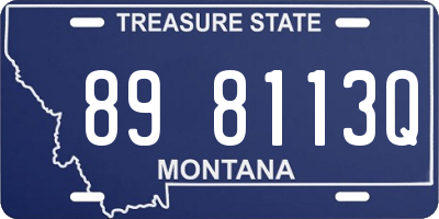 MT license plate 898113Q