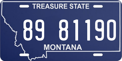 MT license plate 898119O