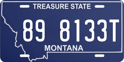 MT license plate 898133T