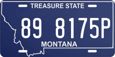 MT license plate 898175P