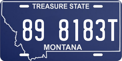MT license plate 898183T