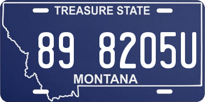 MT license plate 898205U