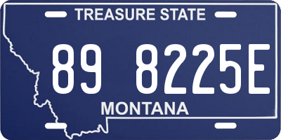 MT license plate 898225E