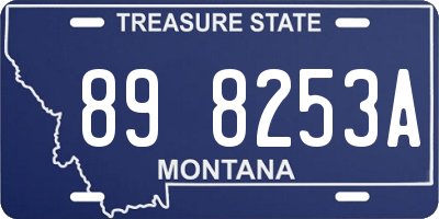 MT license plate 898253A