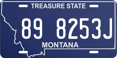 MT license plate 898253J
