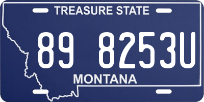 MT license plate 898253U