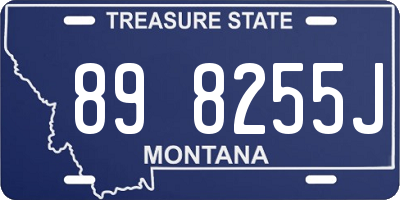 MT license plate 898255J