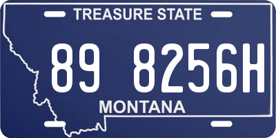 MT license plate 898256H