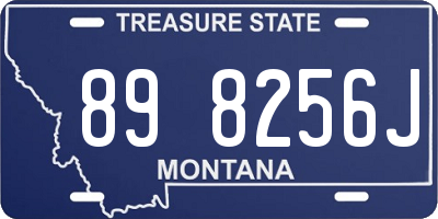 MT license plate 898256J