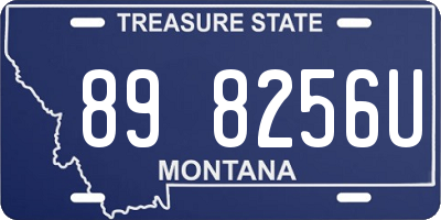 MT license plate 898256U