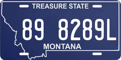 MT license plate 898289L