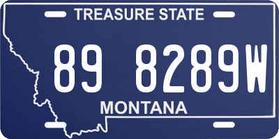 MT license plate 898289W