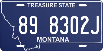 MT license plate 898302J
