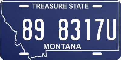 MT license plate 898317U