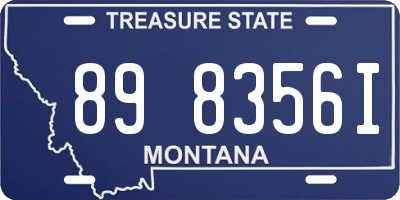 MT license plate 898356I